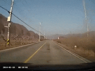 Close Calls (25 gifs)