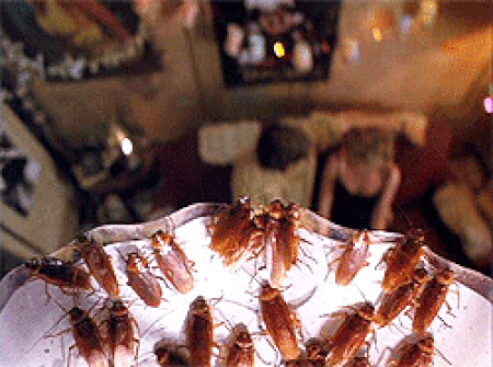 Horrified Guy Tells Booty Call About Her Roach Problem (15 pics)