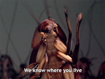 Horrified Guy Tells Booty Call About Her Roach Problem (15 pics)