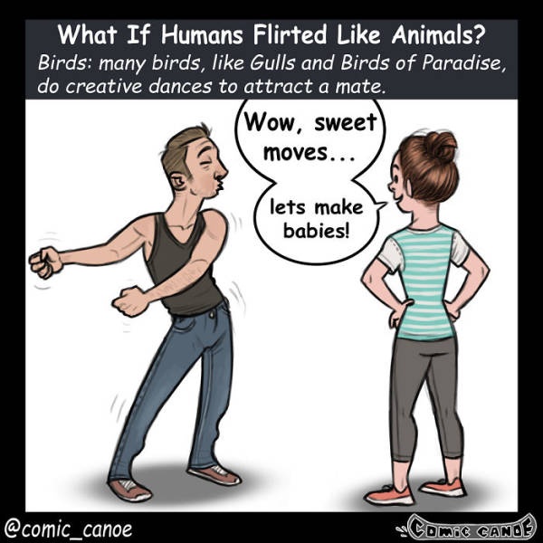 What If We Flirted Like Animals (9 pics)