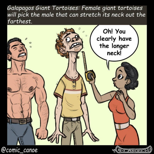 What If We Flirted Like Animals (9 pics)