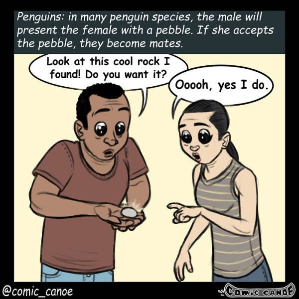 What If We Flirted Like Animals (9 pics)