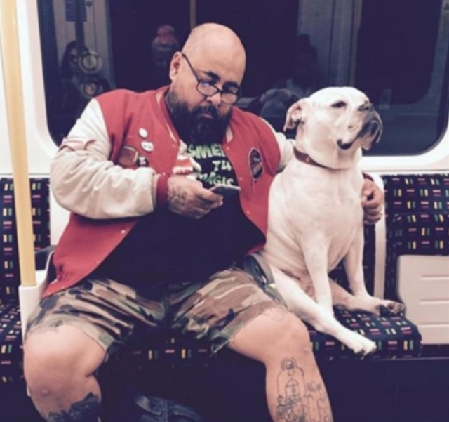 London Commuters Can Be Strange (31 pics)