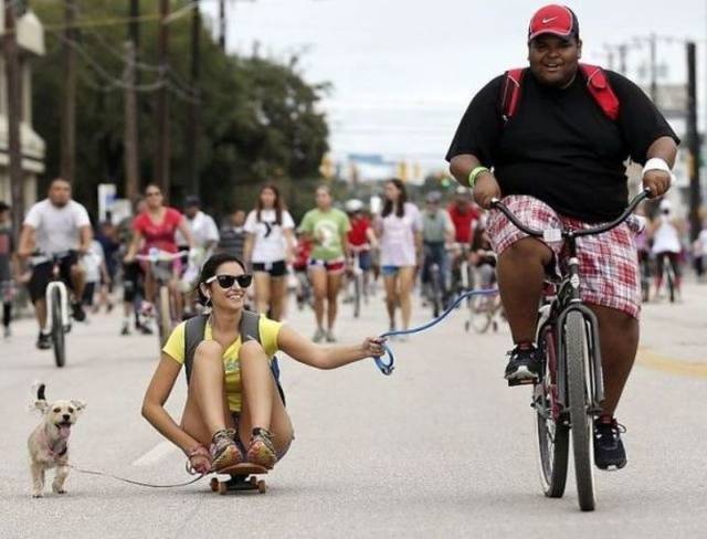 WTF Photos (48 pics)