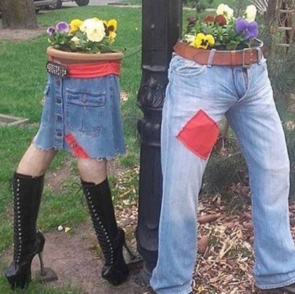 WTF Photos (48 pics)