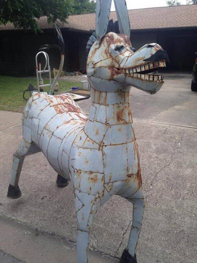 WTF Photos (48 pics)