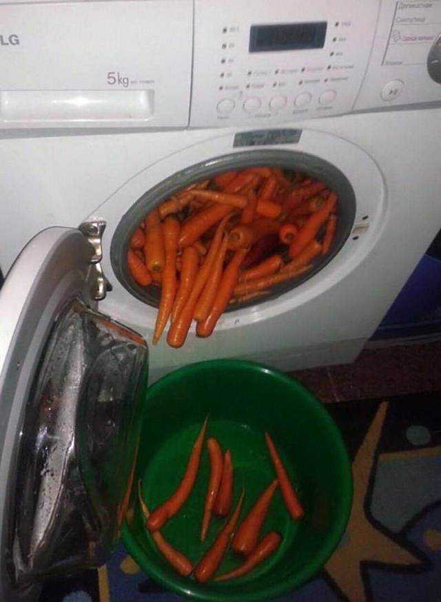 WTF Photos (48 pics)