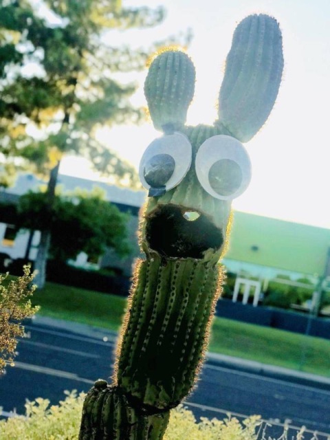 Acid Picdump (97 pics)