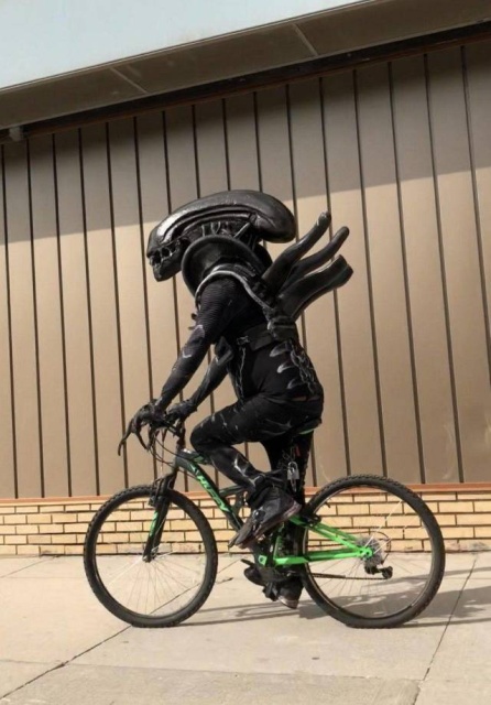 Acid Picdump (97 pics)
