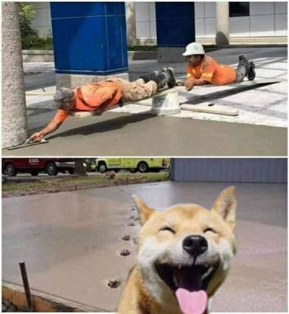 Acid Picdump (97 pics)