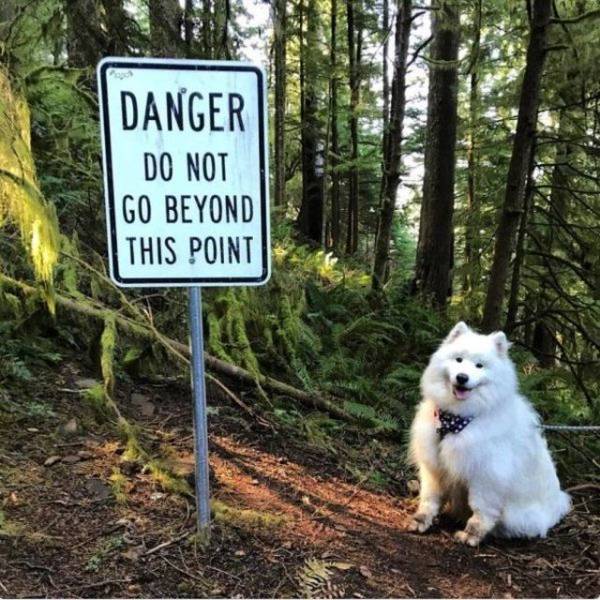 Acid Picdump (97 pics)