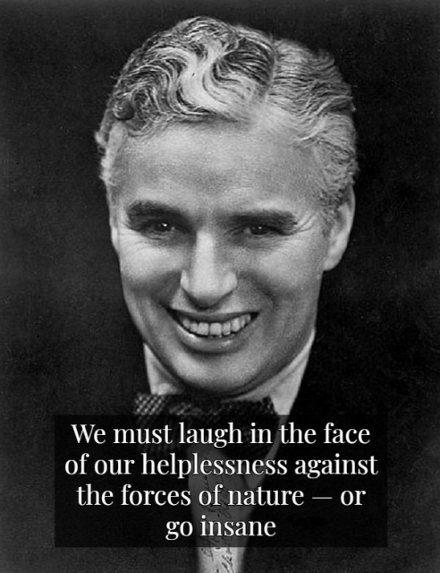 Wisdom By Charlie Chaplin (15 pics)