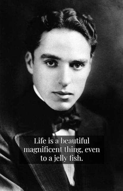 Wisdom By Charlie Chaplin (15 pics)