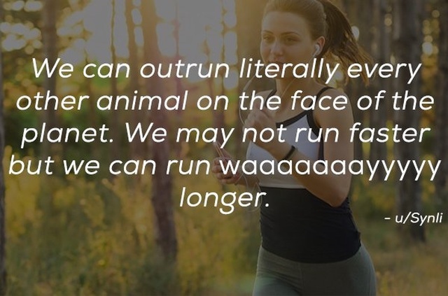 Facts About Humanity (15 pics)