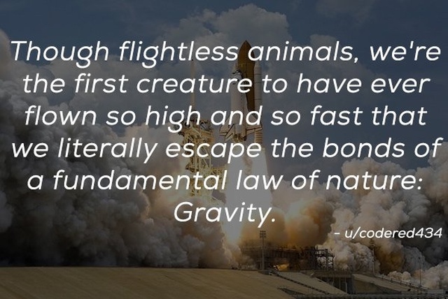Facts About Humanity (15 pics)