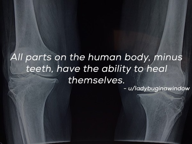 Facts About Humanity (15 pics)