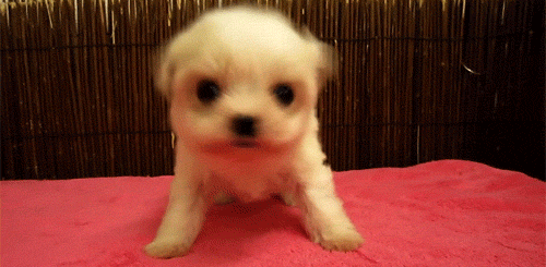 Acid Gifdump, September 28, 2018 (25 gifs)