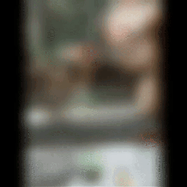 Acid Gifdump, September 28, 2018 (25 gifs)