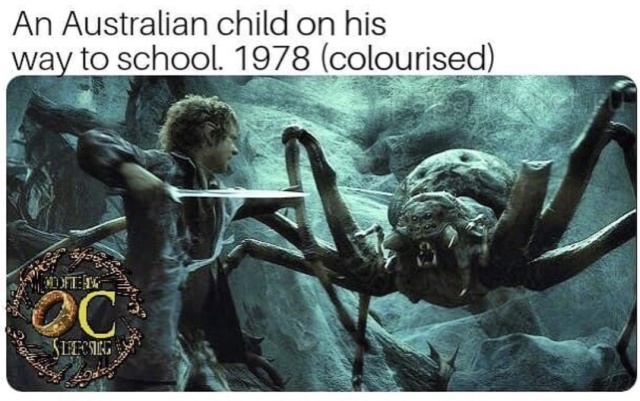 Selection Of Memes (32 pics)