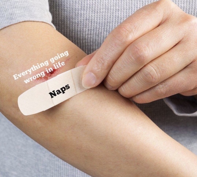 Selection Of Memes (32 pics)