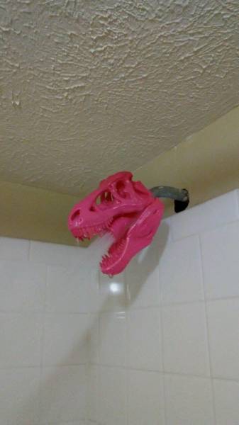 WTF Photos (28 pics)