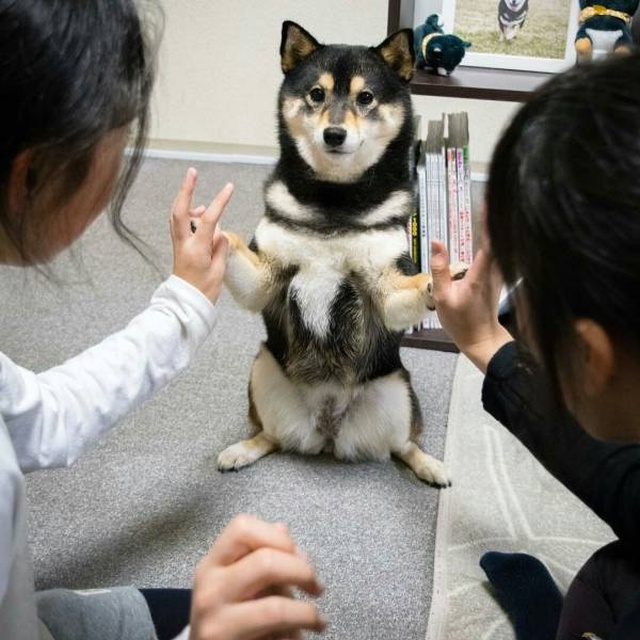 Acid Picdump (97 pics)