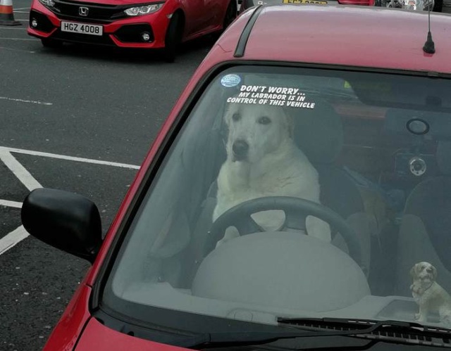Acid Picdump (97 pics)