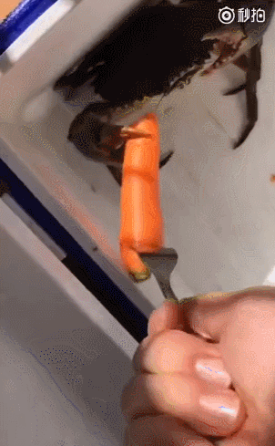 Acid Gifdump, October 01, 2018 (25 gifs)