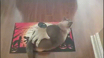 Acid Gifdump, October 01, 2018 (25 gifs)