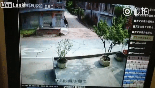 Acid Gifdump, October 01, 2018 (25 gifs)