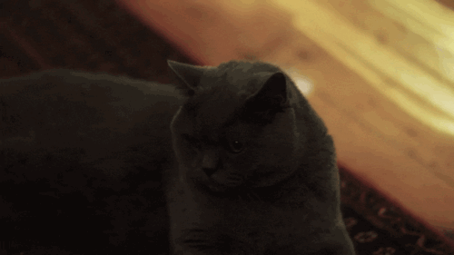 Acid Gifdump, October 01, 2018 (25 gifs)