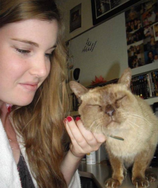 Growing Up With A Cat (3 pics)