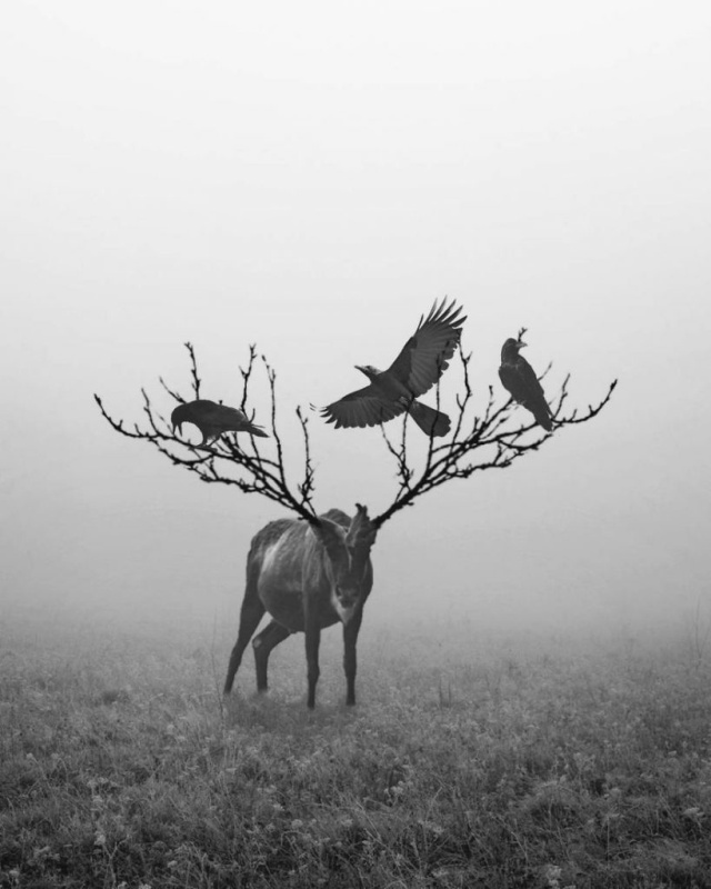 What You Can Do After 5 Years Of Photoshop Learning (35 pics)