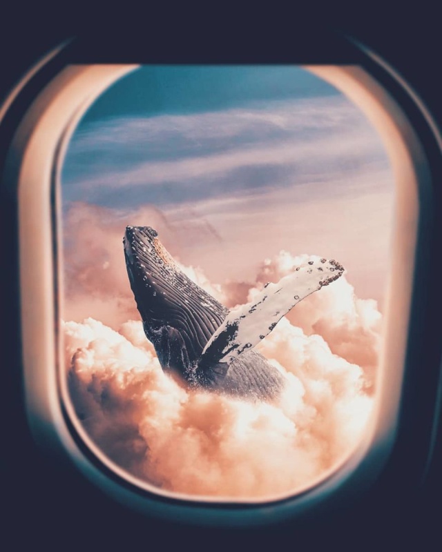 What You Can Do After 5 Years Of Photoshop Learning (35 pics)