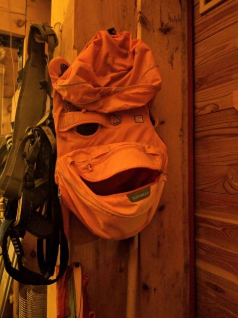 Acid Picdump (92 pics)