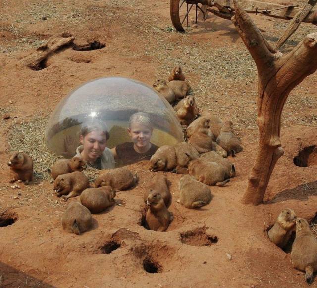 Acid Picdump (92 pics)