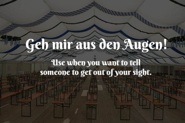 Aggressive German Words (15 pics)