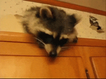 Acid Gifdump, October 02, 2018 (25 gifs)