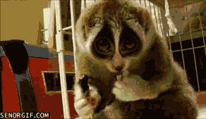 Acid Gifdump, October 02, 2018 (25 gifs)