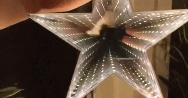 Acid Gifdump, October 02, 2018 (25 gifs)