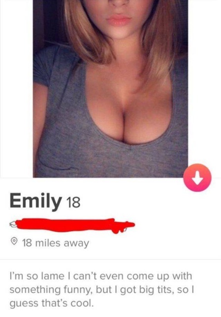 As Seen On Tinder (29 pics)