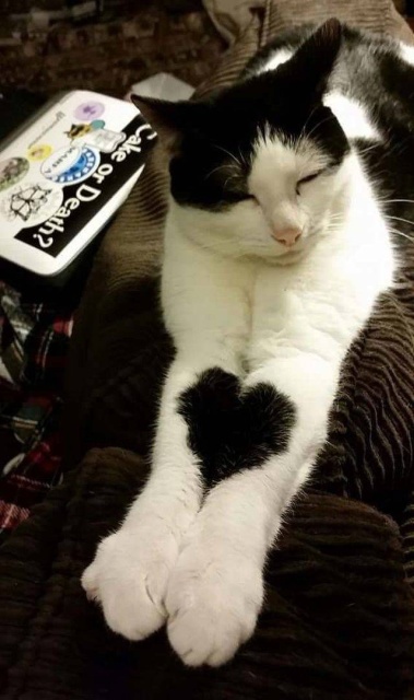 Acid Picdump (90 pics)
