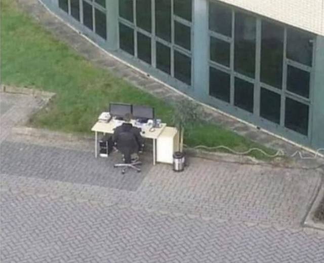 Acid Picdump (90 pics)