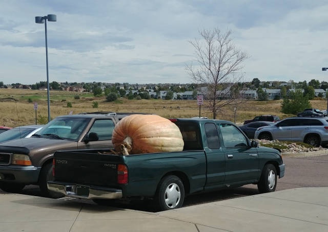Acid Picdump (90 pics)