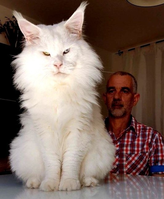 Acid Picdump (90 pics)