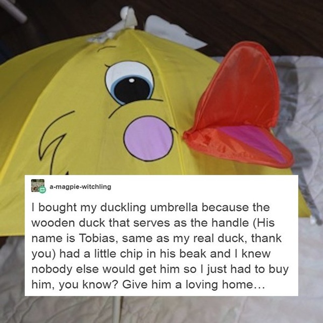 Emotional Attachments To Broken Things (17 pics)