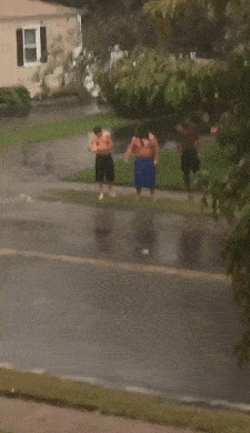 Acid Gifdump, October 03, 2018 (25 gifs)