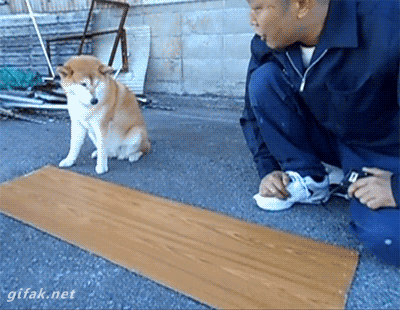 Acid Gifdump, October 03, 2018 (25 gifs)