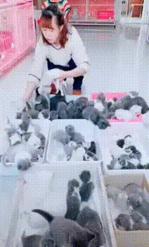 Acid Gifdump, October 03, 2018 (25 gifs)