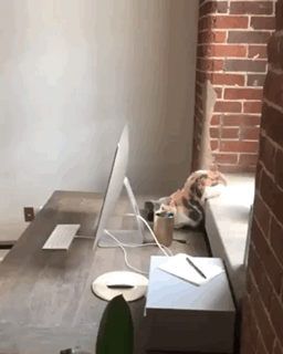 Acid Gifdump, October 03, 2018 (25 gifs)